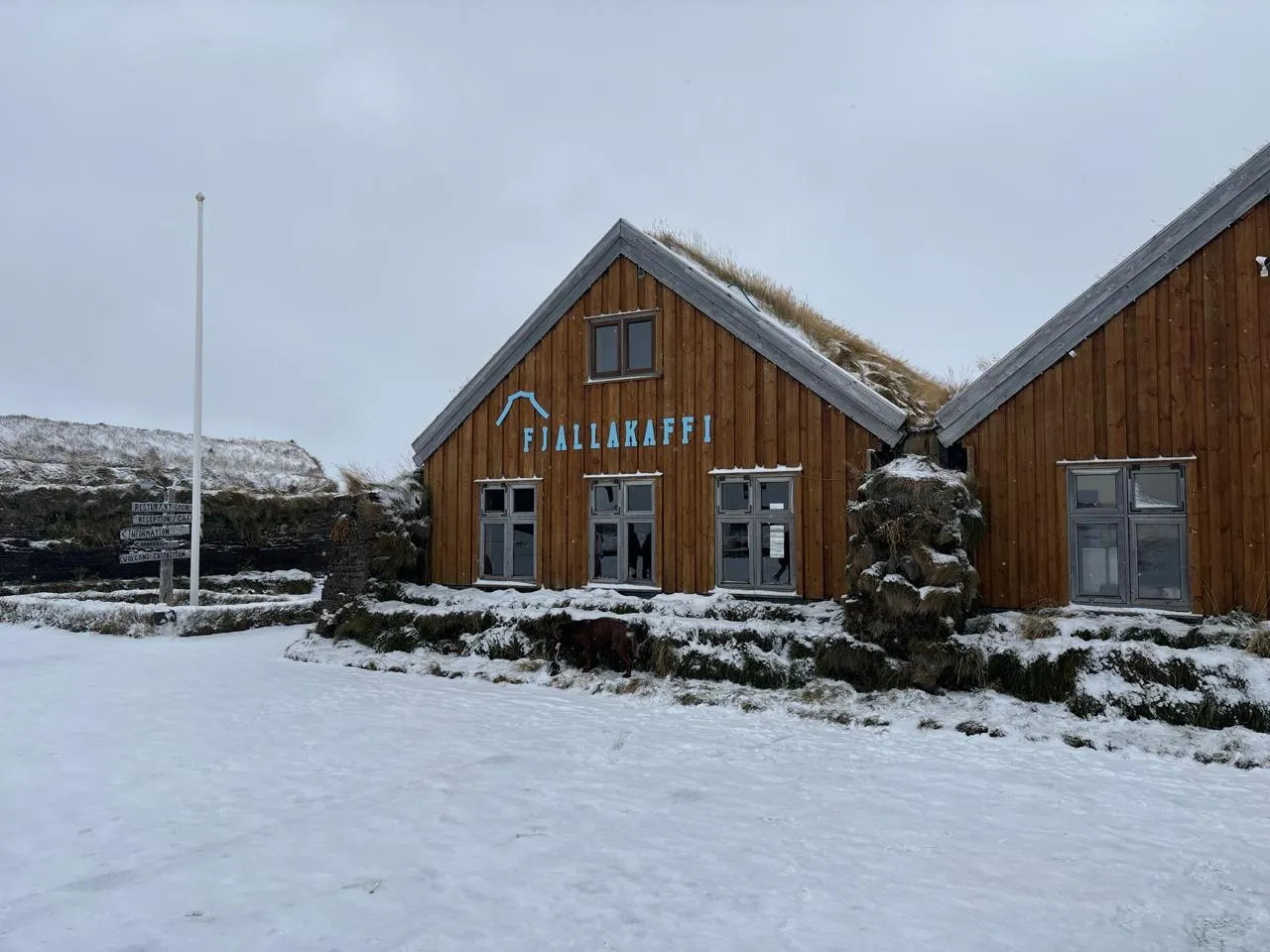 Casa islandesa con techo de césped en un valle nevado