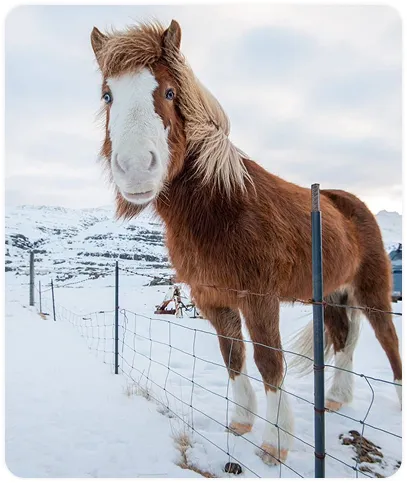 Viajeros en un puente con una cascada en invierno